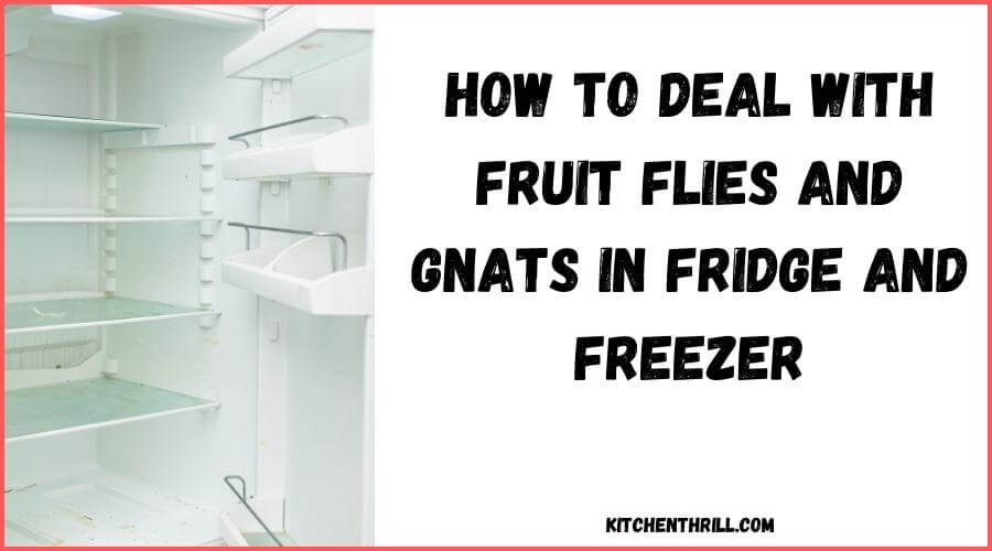 How to Deal With Fruit Flies and Gnats in Fridge and Freezer
