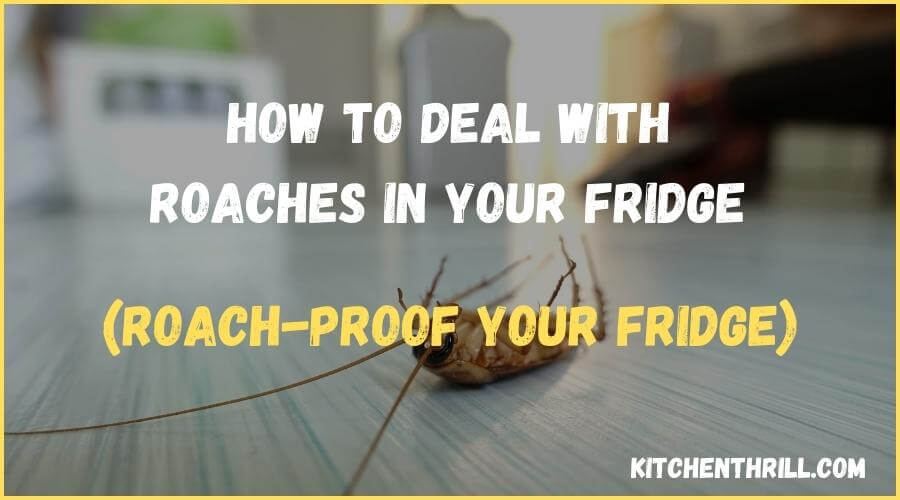 How To Deal With Roaches In Fridge