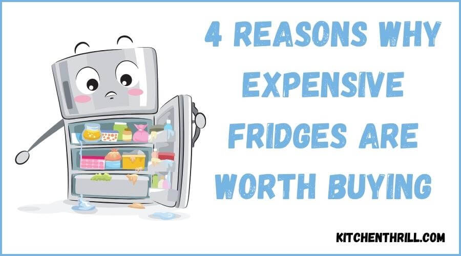 Are expensive fridges worth buying